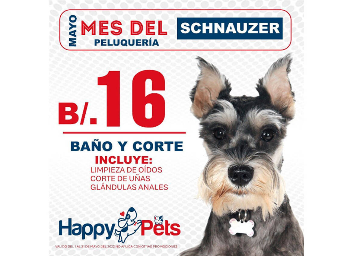 benner-promo-schnauzer.jpg